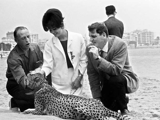 La actriz Claudia Cardinale promocionando El gatopardo acompañada de un guepardo, una de las anécdotas de Cannes más curiosas