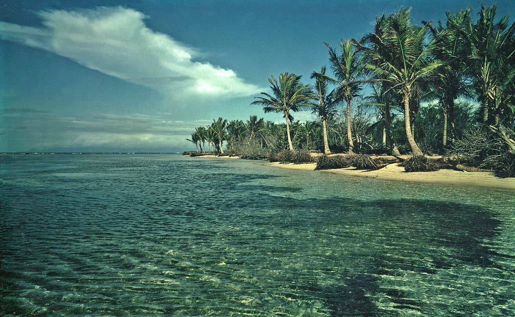 Imagen de Sante Anne, una de las costas de la isla de Guadalupe